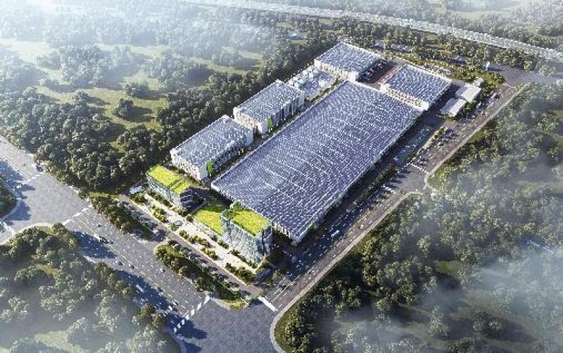 ��̩������5GW��Ч�������