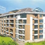 ���ݺ����г�