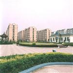 ������԰