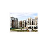 ����������ŵ