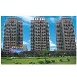 �ں�����