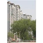 �ػʵ������԰�Ŵ�����