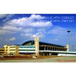 ��³ľ����ʻ���