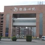 ɽ����������