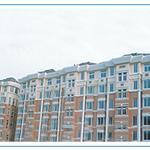 ���ݺ��»�԰