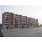 �����差������԰