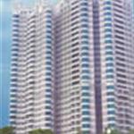 ���ݾ�������