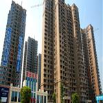 ¦��-�����԰