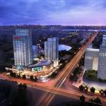 ���޹�������