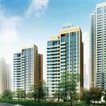 �𰲵ز�������������������Ƭ��