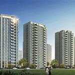 �����ƺ�ͥ