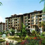 ���ɭɭ��԰������ɽ��