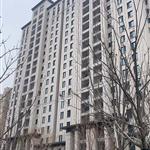 ʯ��ׯ����